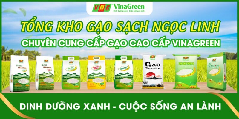 TỔNG ĐẠI LÝ PHÂN PHỐI GẠO TẠI THANH HÓA - NGUỒN SỈ GẠO TẠI TẬN GỐC NHÀ MÁY