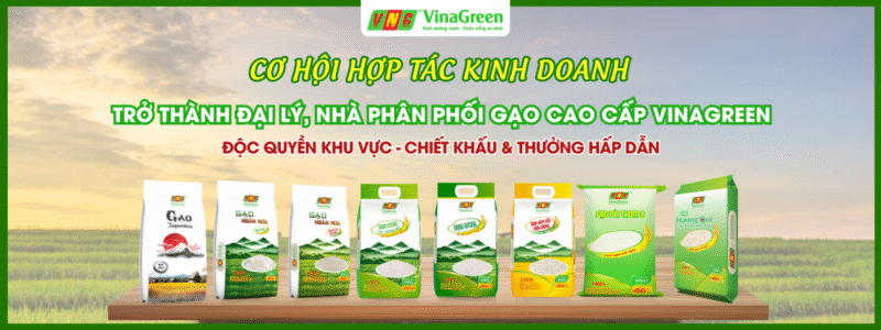Nguồn Sỉ Gạo Sạch Giá Tốt Tận Gốc Nhà Máy – Lựa Chọn Uy Tín Cho Đại Lý và Nhà Phân Phối