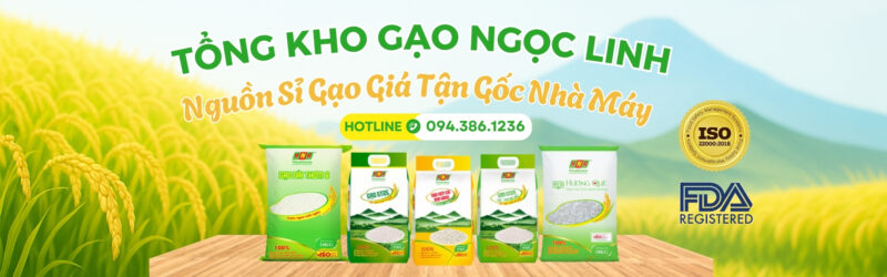 Kho Gạo Thanh Hoá – Nguồn Sỉ Gạo Tận Gốc Nhà Máy