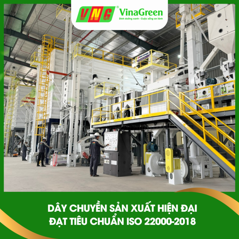 Dây Chuyền Sản Xuất Gạo VinaGreen
