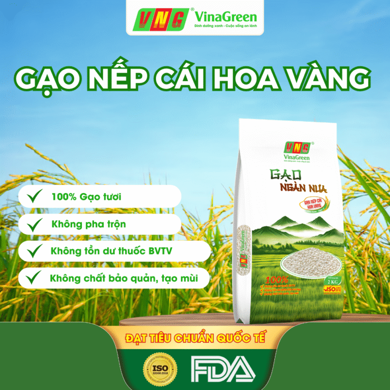 Dac-San-Gao-Nep-Ngan-Nua-Thanh-Hoa-Gao-Nep-Cai-Hoa-Vang-VinaGreen