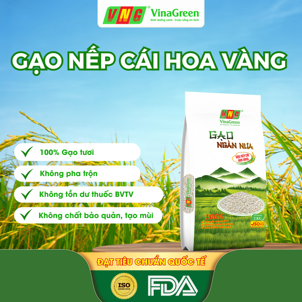 Dac-San-Gao-Nep-Ngan-Nua-Thanh-Hoa-Gao-Nep-Cai-Hoa-Vang-VinaGreen