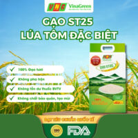 Gạo ST25 Lúa Tôm Đặc Biệt VinaGreen - Gạo Ngon Nhất Thế Giới