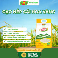 Nep-Cai-Hoa-Vang-VinaGreen