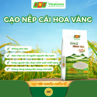 Gao-Nep-cai-hoa-vang-Ngan-nua