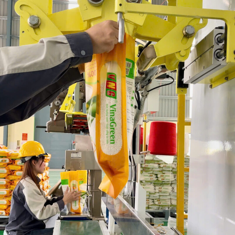 Nhap-Si-Gao-Nep-Cai-Hoa-Vang