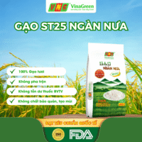 Gạo ST25 Lúa Tôm Ngàn Nưa