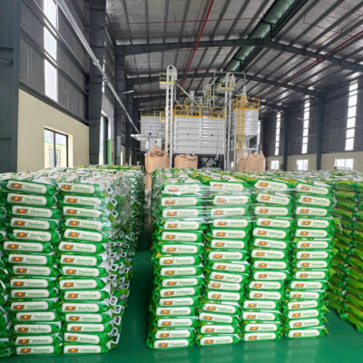 Nguồn Sỉ Gạo Giá Tận Gốc Nhà Máy