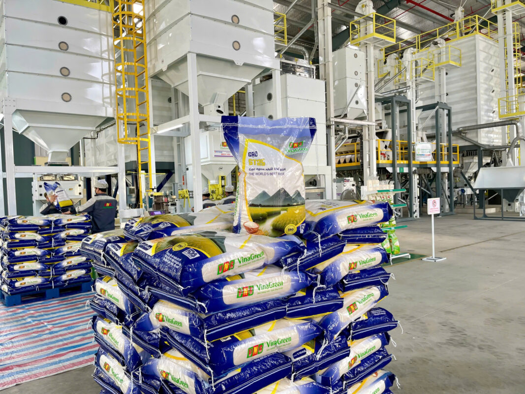 Nguồn sỉ gạo ST25 Hà Nội