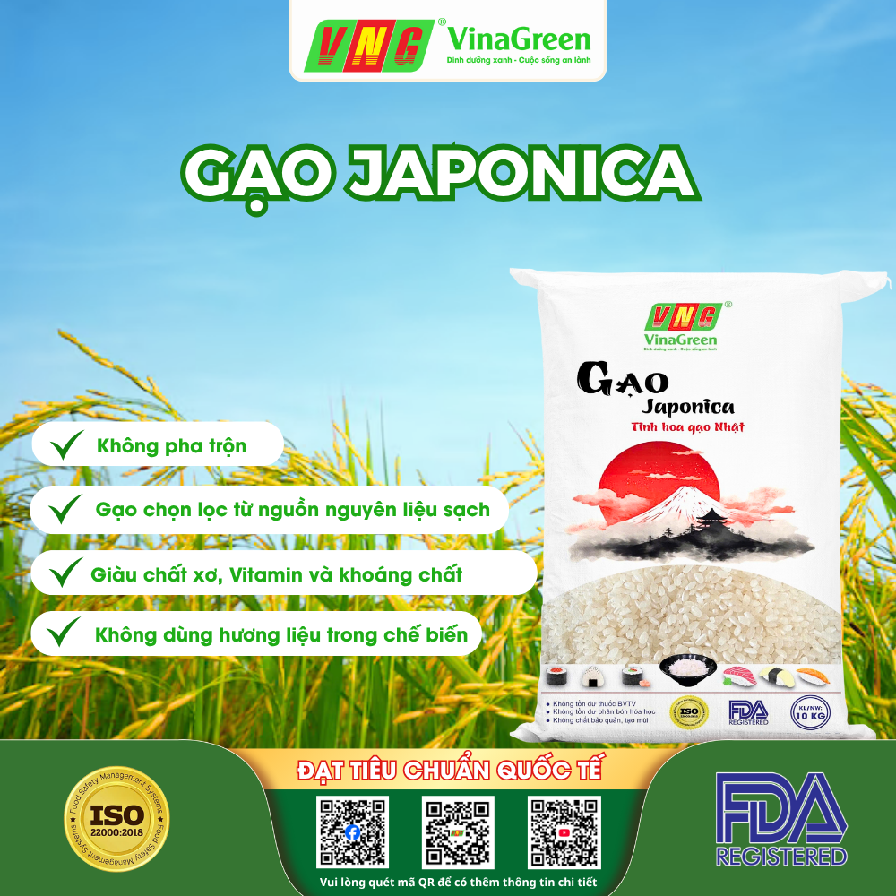 Gạo Japonica VinaGreen